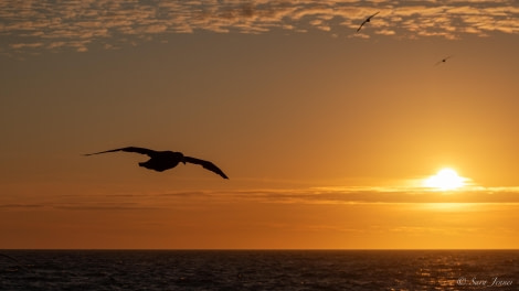 HDS25-24, Day 2, Sunset 1 © Sara Jenner - Oceanwide Expeditions.jpg