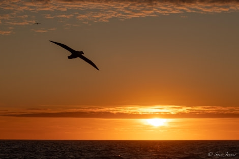 HDS25-24, Day 2, Sunset 5 © Sara Jenner - Oceanwide Expeditions.jpg