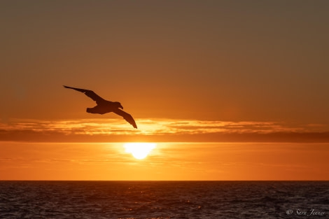 HDS25-24, Day 2, Sunset 6 © Sara Jenner - Oceanwide Expeditions.jpg