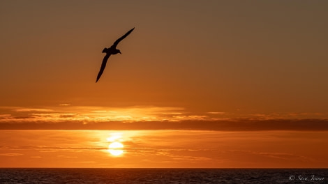 HDS25-24, Day 2, Sunset 7 © Sara Jenner - Oceanwide Expeditions.jpg