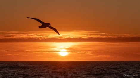 HDS25-24, Day 2, Sunset 8 © Sara Jenner - Oceanwide Expeditions.jpg