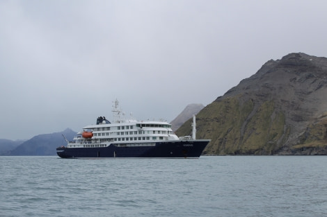 Hondius, South Georgia © Christiaan Luteijn - Oceanwide Expeditions.JPG