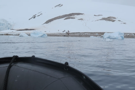 PLA25-24, Day 4, Neko Harbor 4 © David McKinley - Oceanwide Expeditions.JPG