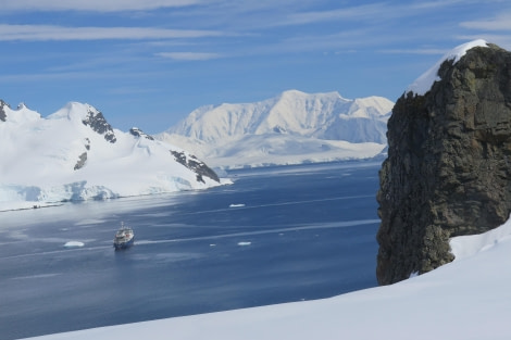 PLA25-24, Day 5, Danco Island 2 © David McKinley - Oceanwide Expeditions.JPG