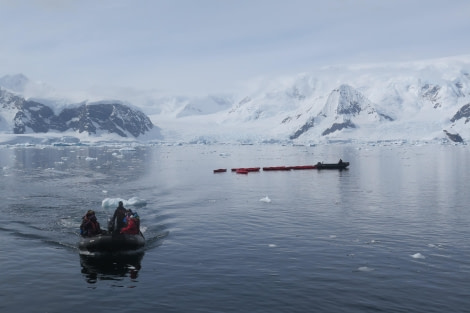 PLA25-24, Day 5, Kayaking 2 © David McKinley - Oceanwide Expeditions.JPG