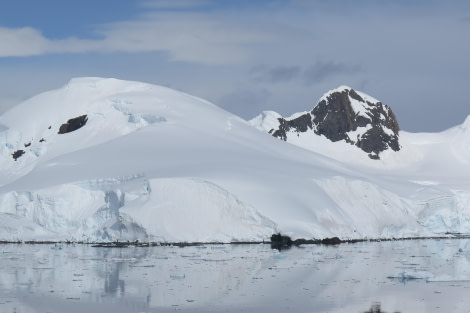 PLA25-24, Day 5, Paradise Bay 4 © David McKinley - Oceanwide Expeditions.JPG