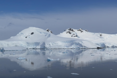 PLA25-24, Day 5, Paradise Bay 7 © David McKinley - Oceanwide Expeditions.JPG