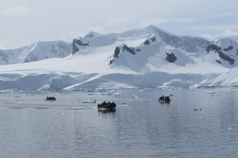 PLA25-24, Day 5, Zodiac cruising 3 © David McKinley - Oceanwide Expeditions.JPG