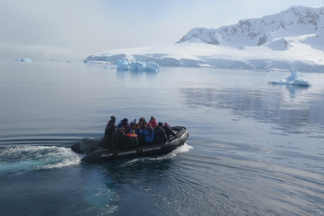 PLA25-24, Day 5, Zodiac crusing 2 © David McKinley - Oceanwide Expeditions.JPG