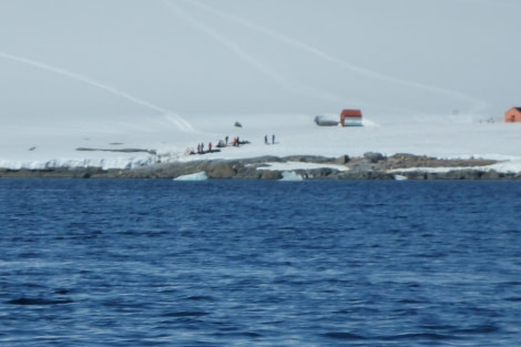 PLA25-24, Day 7, Damoy departure © David McKinley - Oceanwide Expeditions.JPG