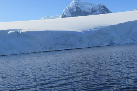 PLA25-24, Day 7, Damoy Point 3 © David McKinley - Oceanwide Expeditions.JPG