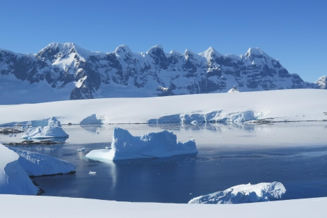 PLA25-24, Day 7, Damoy Point 7 © David McKinley - Oceanwide Expeditions.JPG