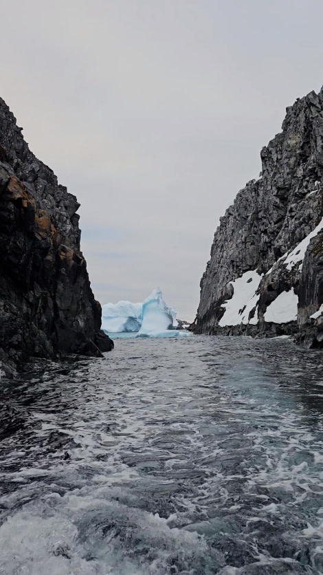 PLA25-24, Day 9, Cruising around the Spert Island 5 © Unknown photographer - Oceanwide Expeditions.jpg