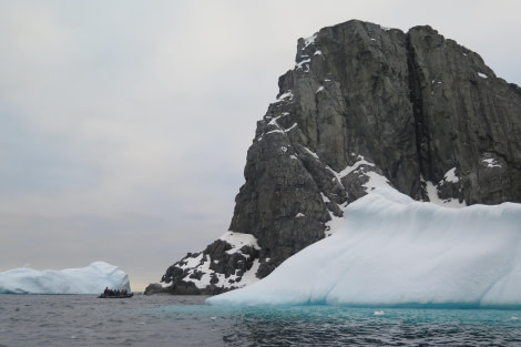 PLA25-24, Day 9, Spert Island 4 © David McKinley - Oceanwide Expeditions.JPG