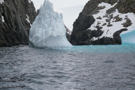 PLA25-24, Day 9, Spert Island 13 © David McKinley - Oceanwide Expeditions.JPG