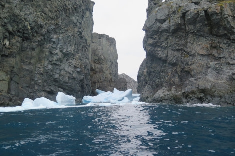 PLA25-24, Day 9, Spert Island 16 © David McKinley - Oceanwide Expeditions.JPG