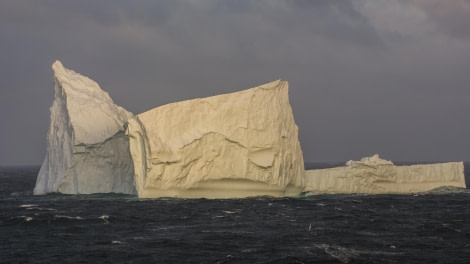 PLA25-24, Day 3, Iceberg 3 © Unknown photographer - Oceanwide Expeditions.jpg