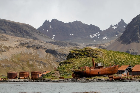 HDS26-24, Day 9, Husvik_FelicityJ-2 © Felicity Johnson - Oceanwide Expeditions.jpg