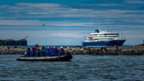 HDS26-24, Day 9, LYR_1886 © Alexander Romanovskiy - Oceanwide Expeditions.jpg