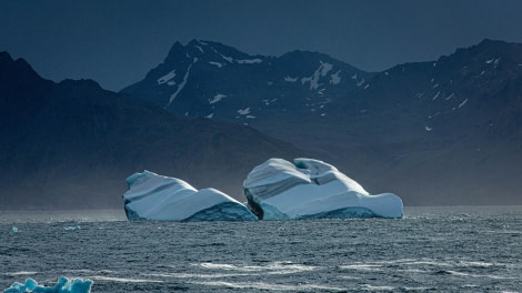 HDS26-24, Day 9, LYR_1962 © Alexander Romanovskiy - Oceanwide Expeditions.jpg