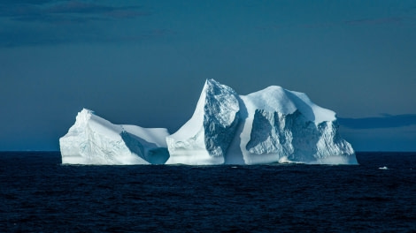 HDS26-24, Day 9, LYR_1966 © Alexander Romanovskiy - Oceanwide Expeditions.jpg