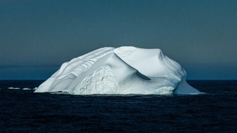 HDS26-24, Day 9, LYR_1968 © Alexander Romanovskiy - Oceanwide Expeditions.jpg