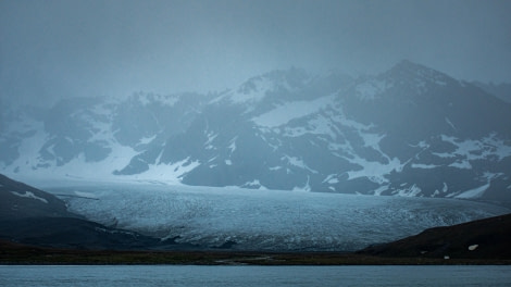 HDS26-24, Day 9, LYR_1974 © Alexander Romanovskiy - Oceanwide Expeditions.jpg