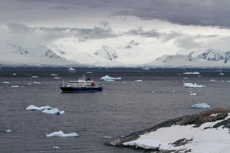 HDS26-24, Day 14, Cuverville_FelicityJ-3 © Felicity Johnson - Oceanwide Expeditions.jpg