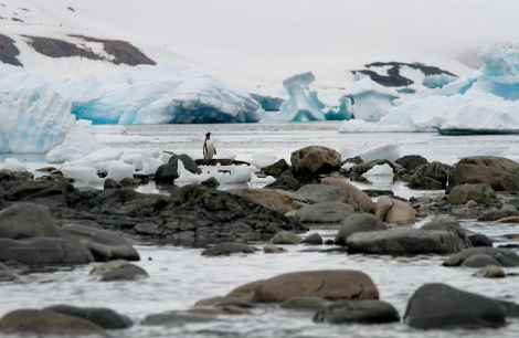 HDS26-24, Day 14, Cuverville_FelicityJ-6 © Felicity Johnson - Oceanwide Expeditions.jpg