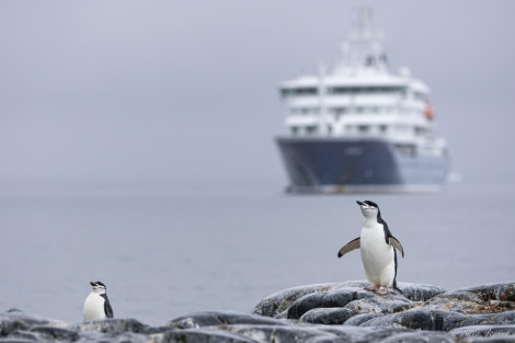 HDS26-24, Day 16, Palaver Point 5 © Sara Jenner - Oceanwide Expeditions.jpg