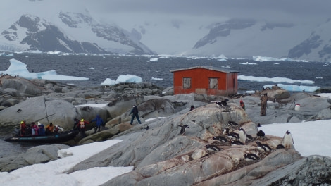 OTL27-24, Day 7, Peterman Island landing @ Jess Owen - Oceanwide Expeditions.JPG