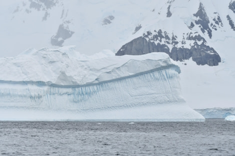 HDS27-24, Day 4, ANT_8087 © Saskia van der Meij - Oceanwide Expeditions.JPG