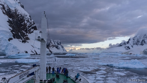 HDS27-24, Day 6, _82A2691 © Sara Jenner - Oceanwide Expeditions.jpg