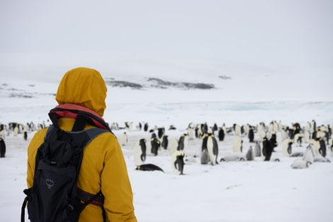 OTL23-23_Day4_Snow-Hill-Island_Antarctica-WeddellSea © Alexandra den Dikken_OEX_IMG_5186.jpeg