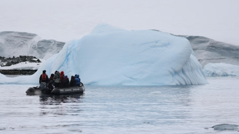 PLA27-24, Day 5, RegisPerdriat (127) @ Regis Perdriat - Oceanwide Expeditions.JPG