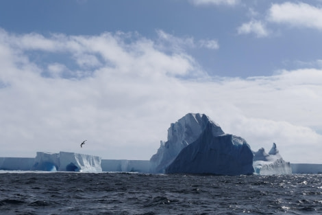 PLA27-24, Day 7, Elke_LindnerP1066469 @ Elke Lindner - Oceanwide Expeditions.JPG