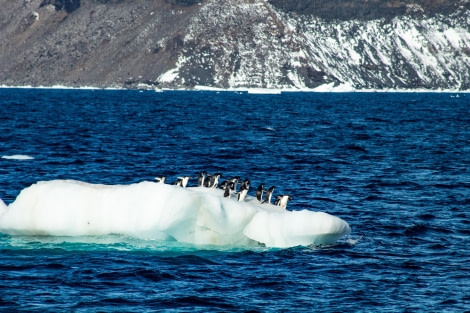 PLA27-24,Day 5, IMG_1815 @ Unknown photographer - Oceanwide Expeditions.jpg