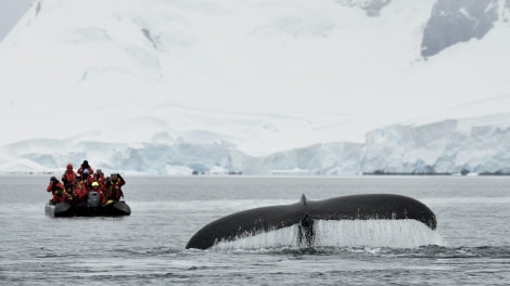 PLA28-24, Day 7, elke_lindner_DSC1190 © Steffi Liller - Oceanwide Expeditions.JPG