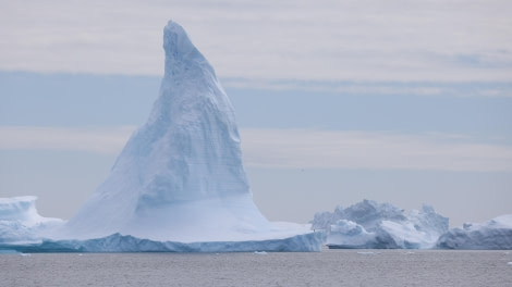 PLA28-24, Day 5, RegisPERDRIAT (23) © Regis Perdriat - Oceanwide Expeditions.JPG