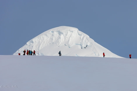 HDS28-24, Day 4, 088A1034 © Martin Anstee - Oceanwide Expeditions.jpg