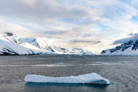 HDS28-24, Day 4, 095A2747 © Martin Anstee - Oceanwide Expeditions.jpg