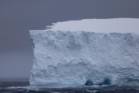 HDS28-24, Day 8, 088A1164 © Martin Anstee - Oceanwide Expeditions.jpg