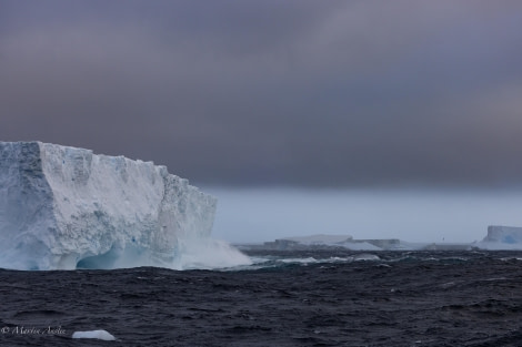 HDS28-24, Day 8, 088A1182 © Martin Anstee - Oceanwide Expeditions.jpg