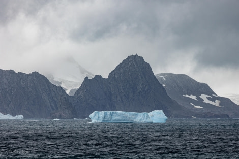 HDS28-24, Day 8, 095A2840 © Martin Anstee - Oceanwide Expeditions.jpg