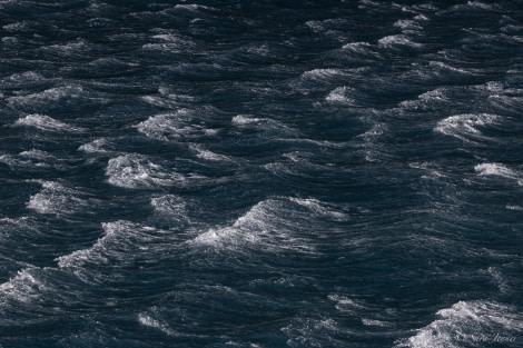 OTL29-24, Day 9, Windy seas @ Sara Jenner - Oceanwide Expeditions.jpg