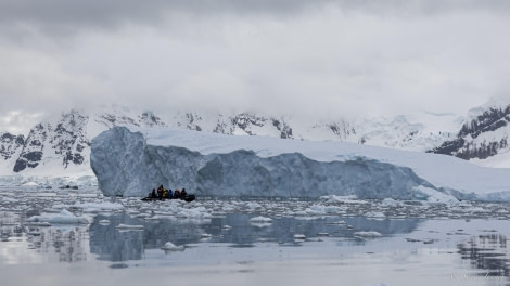 OTL29-24, Day 16, Brown station cruise 6 @ Sara Jenner - Oceanwide Expeditions.jpg