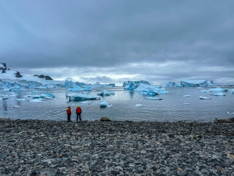 PLA29-24, Day 4, 9989902D-5E81-4493-899A-E20080954691 @ Unknown photographer - Oceanwide Expeditions.JPEG