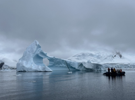 PLA29-24, Day 6, 15 184723 @ Unknown photographer - Oceanwide Expeditions.png