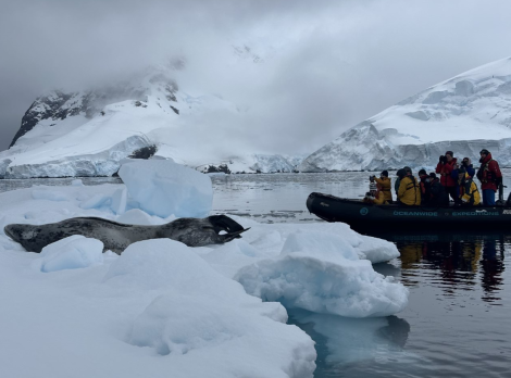 PLA29-24, Day 6, 15 184810 @ Unknown photographer - Oceanwide Expeditions.png