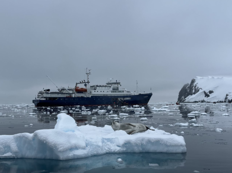 PLA29-24, Day 8, 15 185208 @ Unknown photographer - Oceanwide Expeditions.png